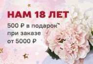 Подарки в честь совершеннолетия компании!